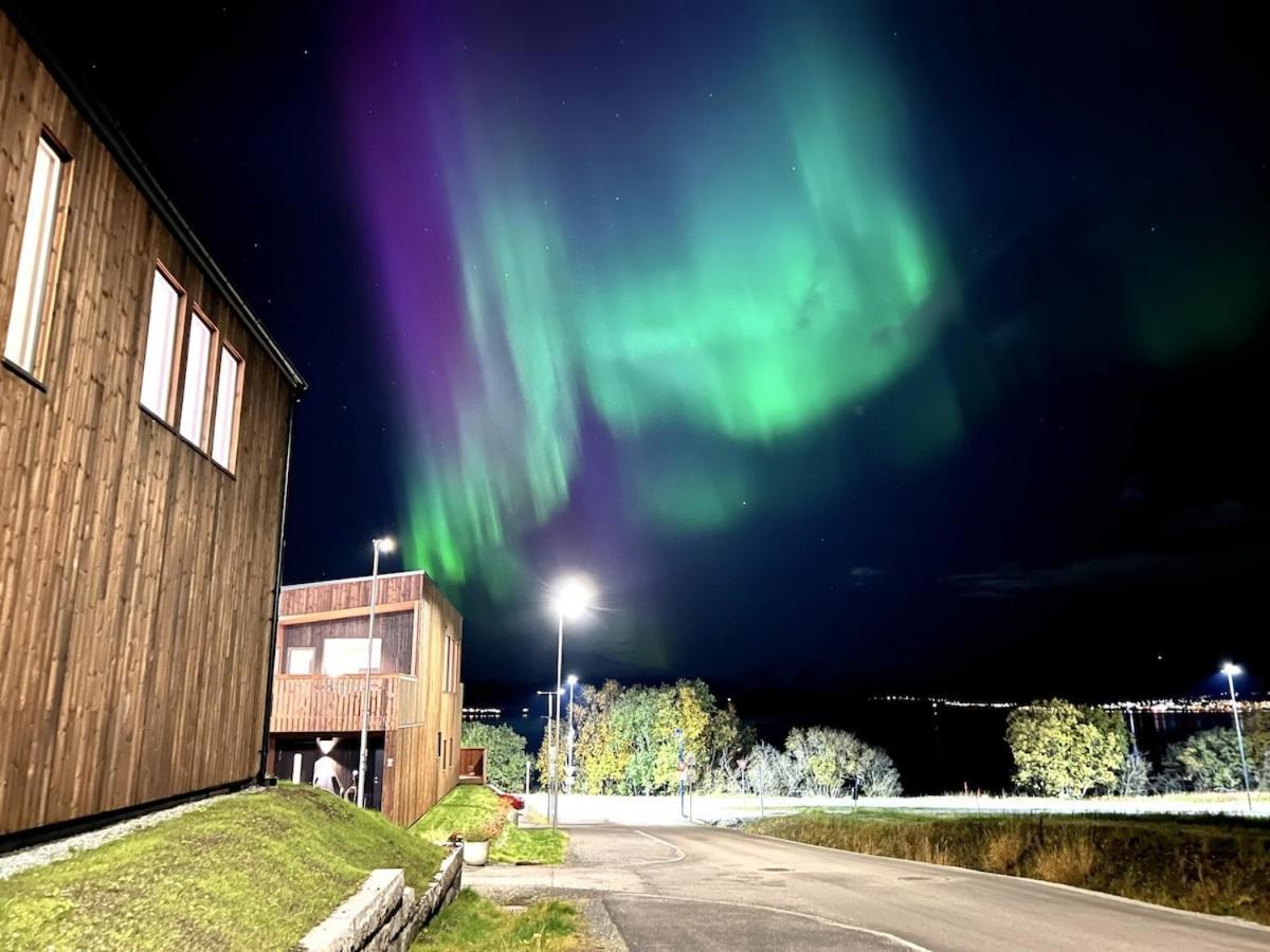 Apartment Northern Lights