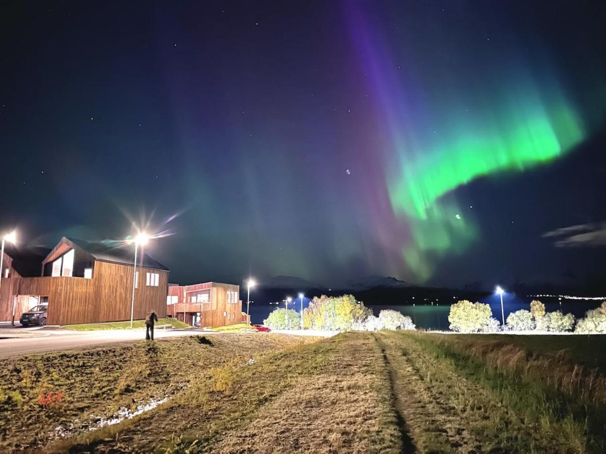 Northern Lights Apartment Tromso